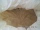 CAS 8002-80-0 HACCP 82 เปอร์เซ็นต์ Vital Wheat Gluten Powder Bulk